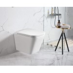 Enox 66 Rimless Wall Hung Toilet Pan Only Enox 66 Rimless Wall Hung Toilet Pan Only
